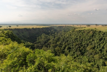 Kyambura gorge